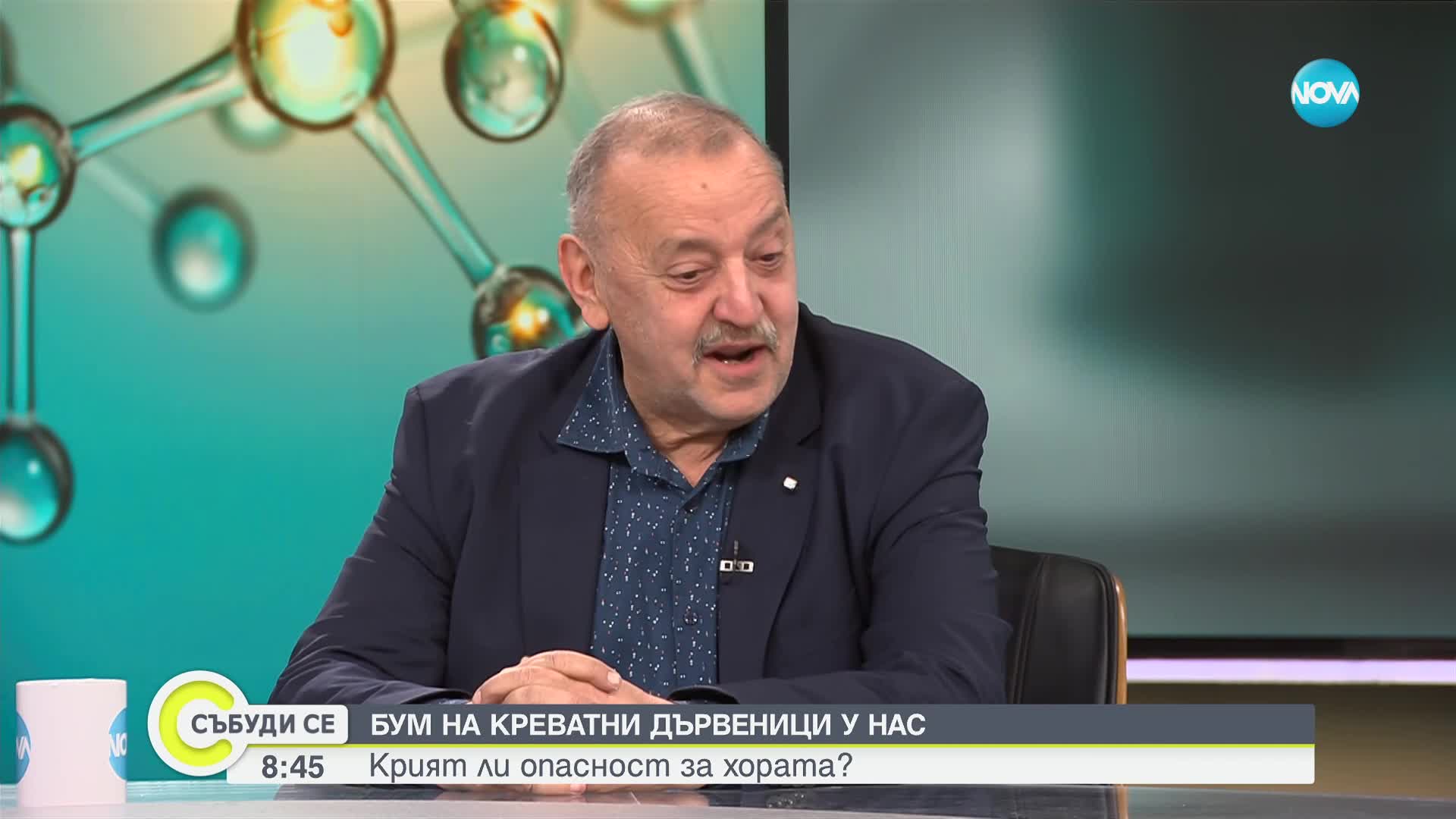 Проф. Кантарджиев: Дървениците не могат да предадат опасни заболявания