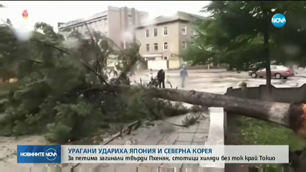 Мощни тайфуни удариха Япония и Северна Корея