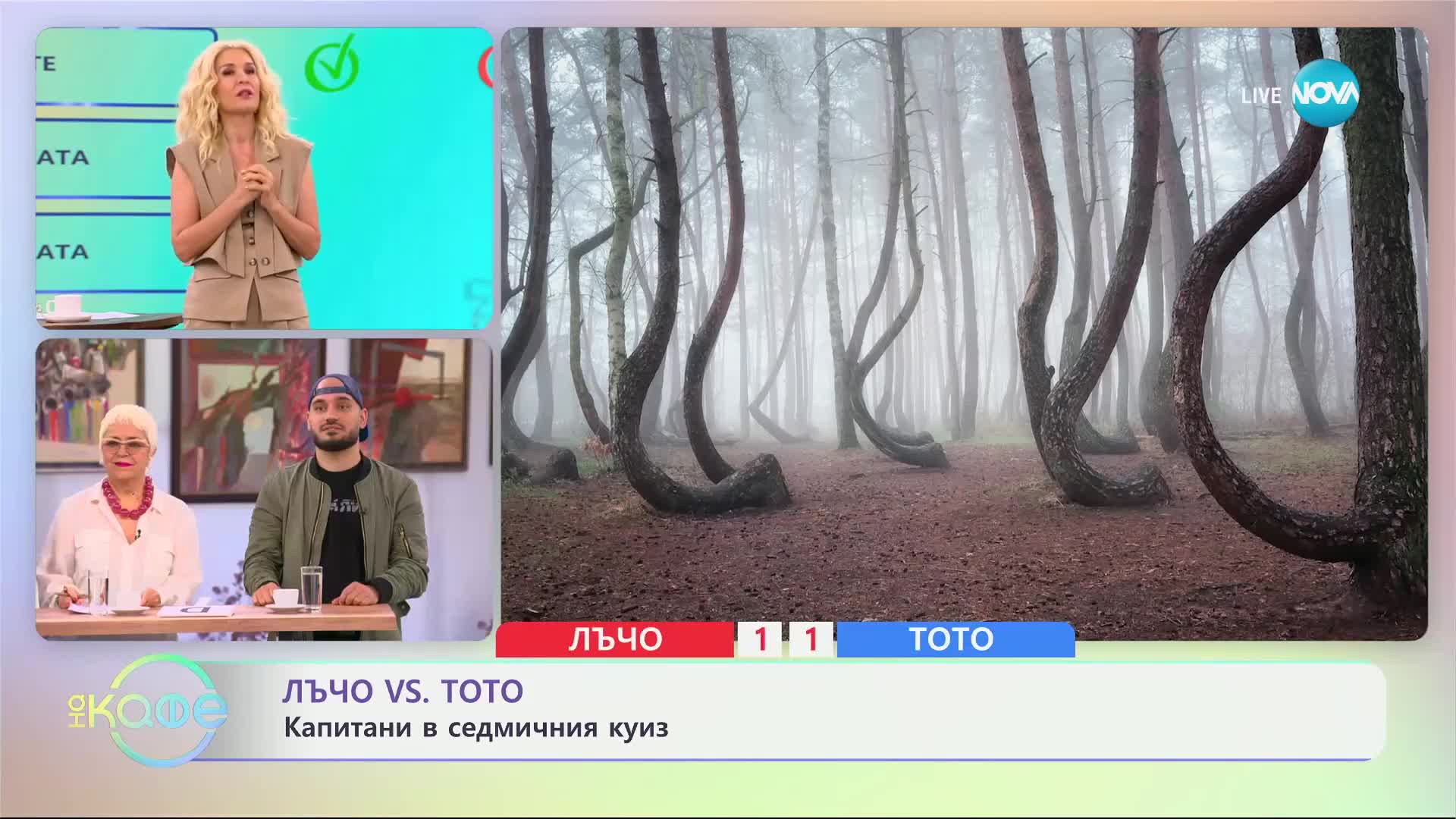„Кривата гора” – мястото, където дърветата имат необичайна форма