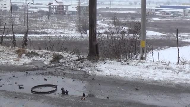 Автомобил се заби в стълб в Благоевград