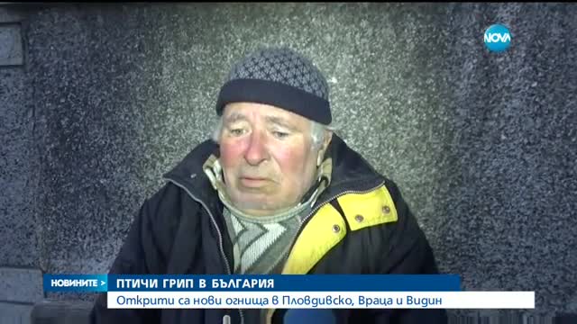 Откриха огнища на птичи грип в три области на страната