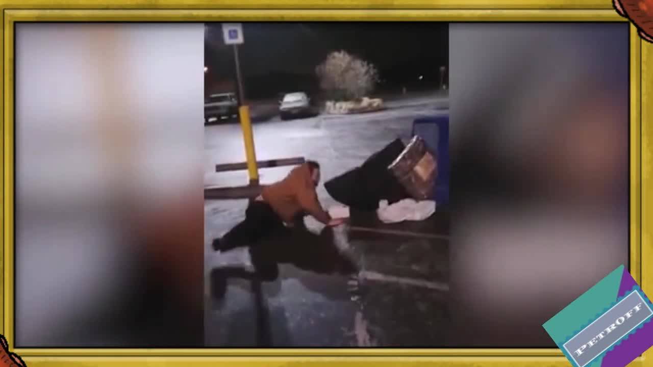 Издънки на леда!