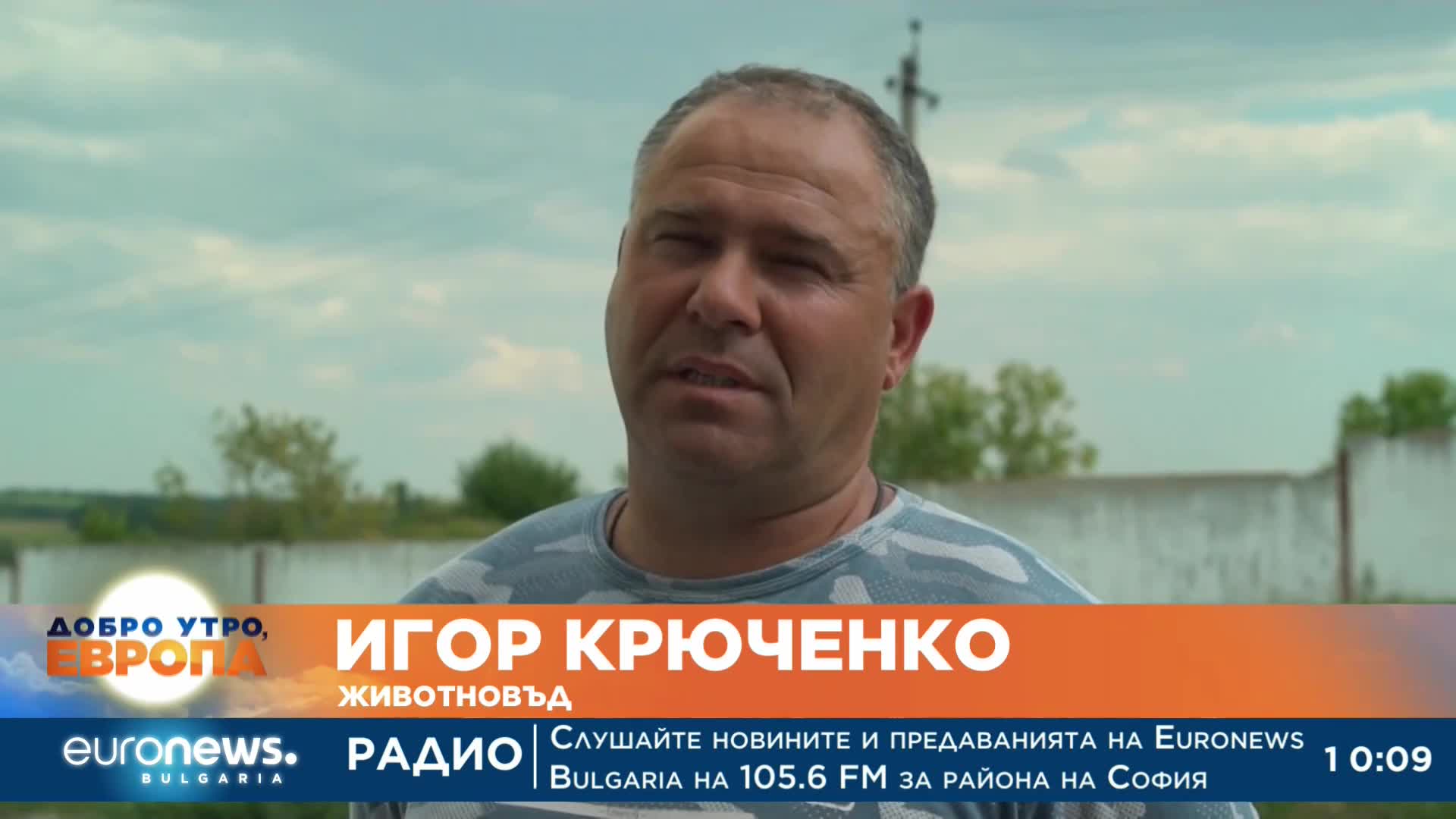 Кравеферма в Донбас оцелява под постоянен обстрел