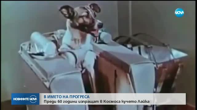 Новините на NOVA (03.11.2017 - следобедна емисия)