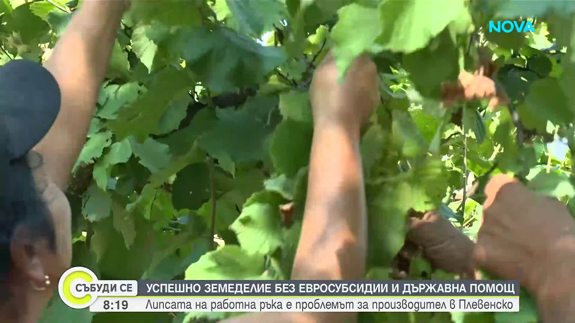 Как един земеделец успява без евросубсидии и държавна помощ