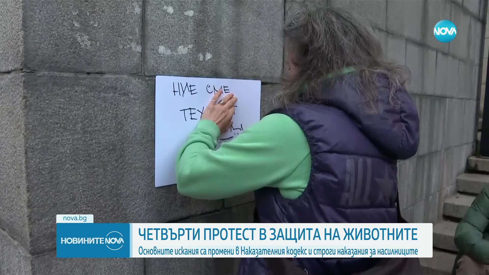 Протест срещу насилието над животните пред НС