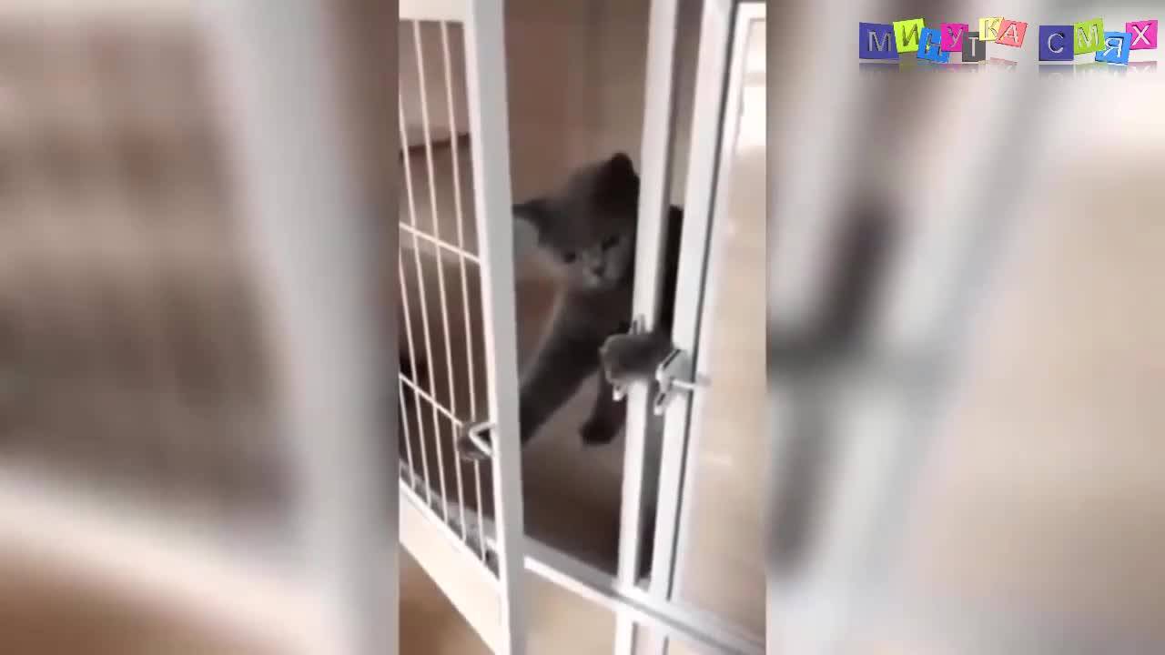 Супер интересни изцепки - Минутка смях