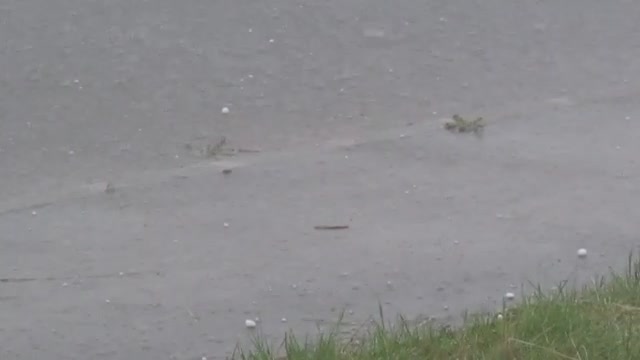 Градушката в Монтана