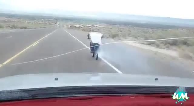 Компилация! Забавни Пребивания