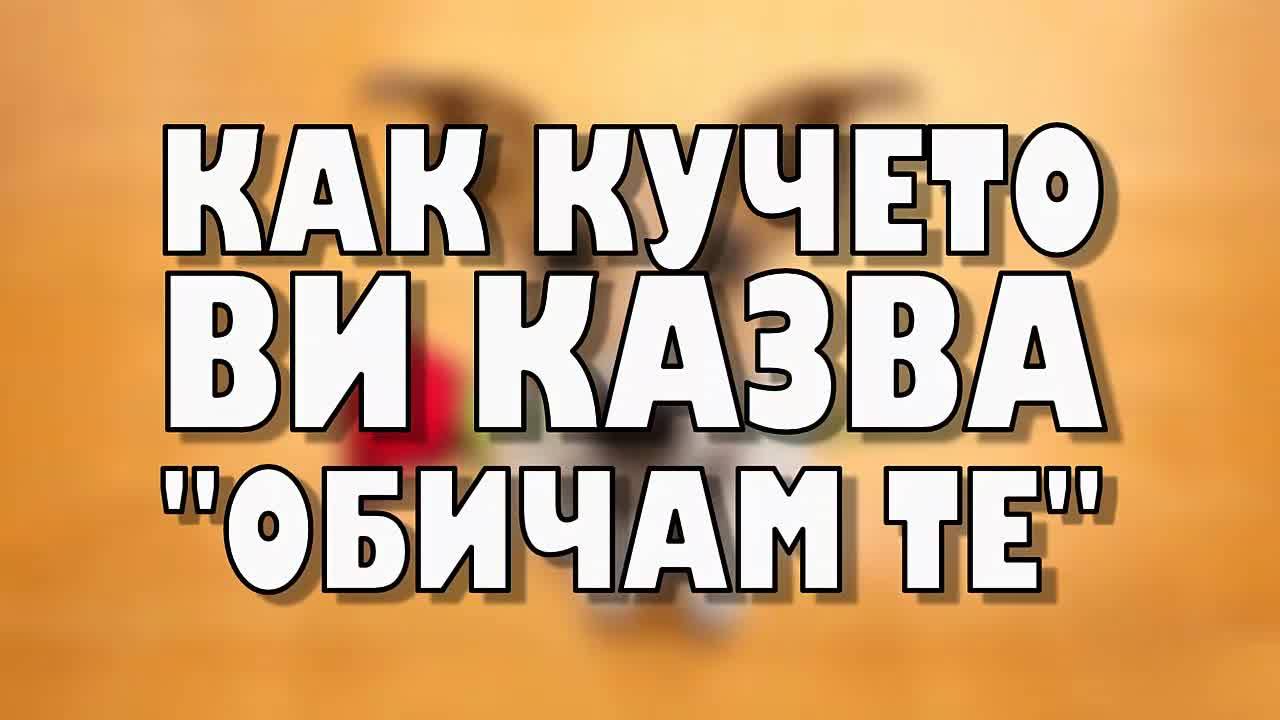 Как кучето ви казва: „Обичам те!”