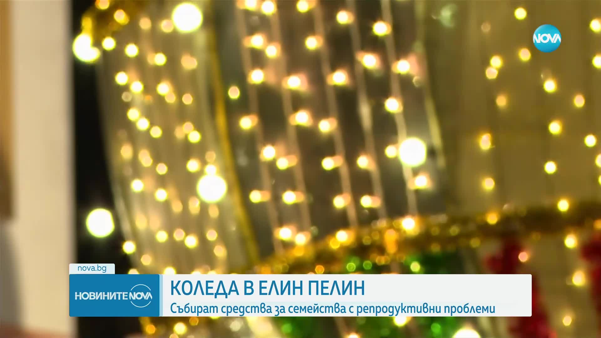Запалиха светлините на 16-метровата коледна елха в Елин Пелин