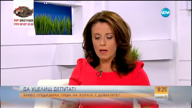 Манол Глишев: Депутатският костюм е опетнен и без домат по него