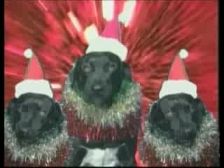 Jingle Cats представят