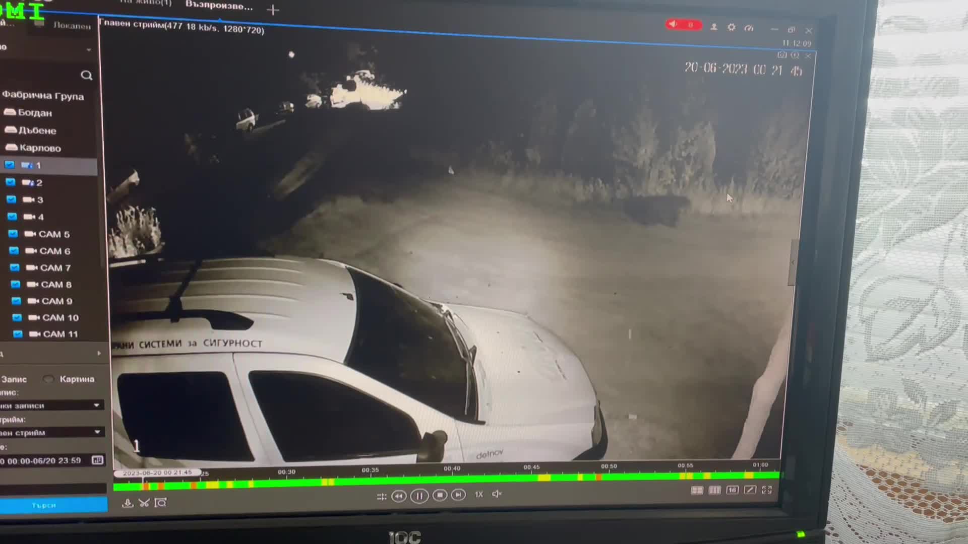 Мечка се разхожда в Карлово