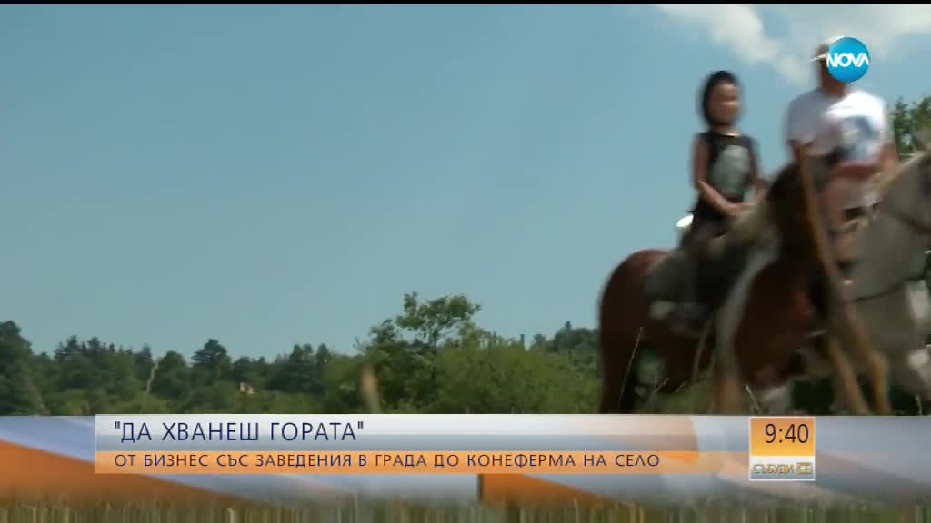 „Да хванеш гората”: От бизнес със заведения в града до конеферма на село