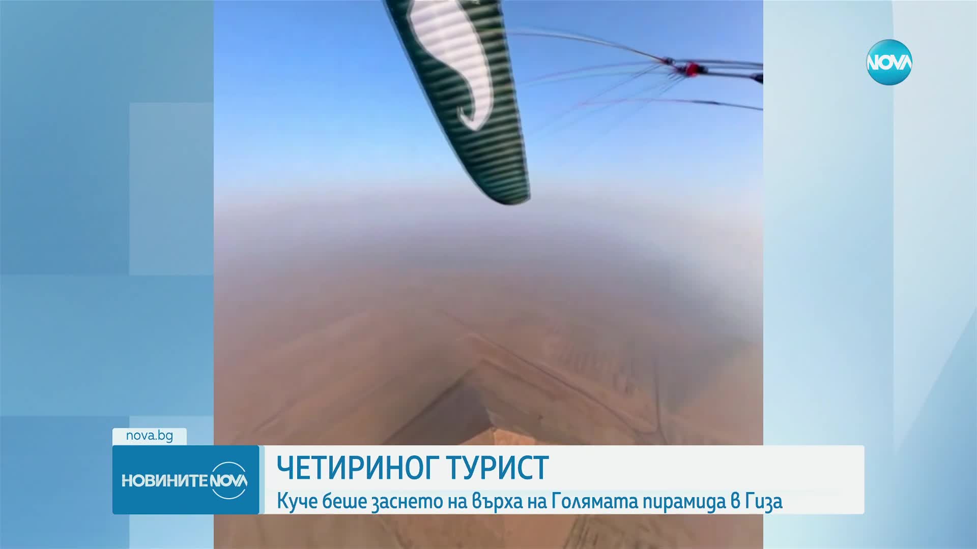 Куче се озова на върха на Голямата пирамида в Гиза (ВИДЕО)