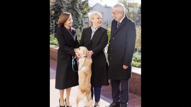 Кучето на молдовския президент ухапа по ръката австрийския държавен глава