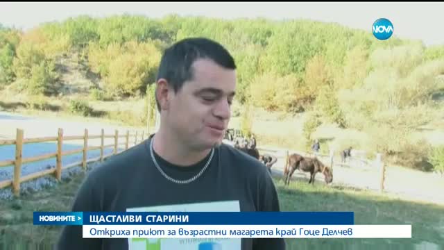 ЩАСТЛИВИ СТАРИНИ:Откриха приют за възрастни магарета край Гоце Делчев