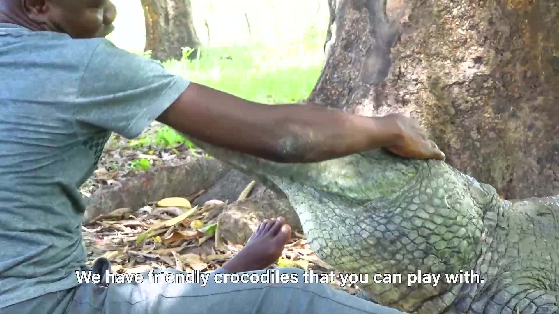 Around the world: Ghana's sacred pond