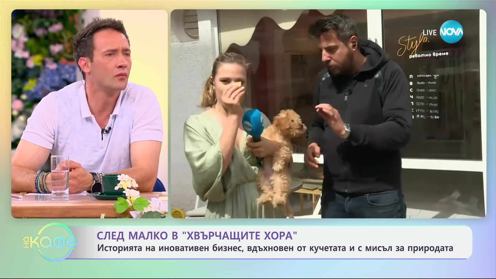 Седмица на кучешките сватби - „На кафе“ (14.06.2024)