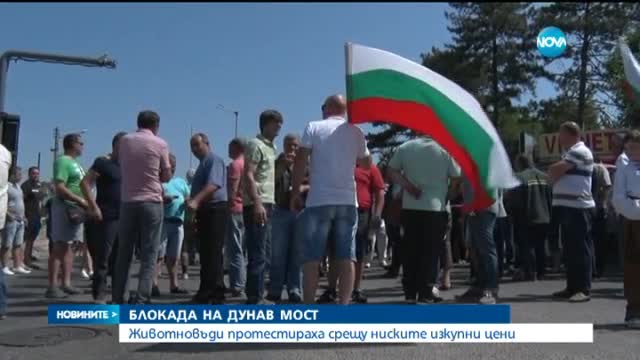 Животновъди протестираха срещу ниските изкупни цени