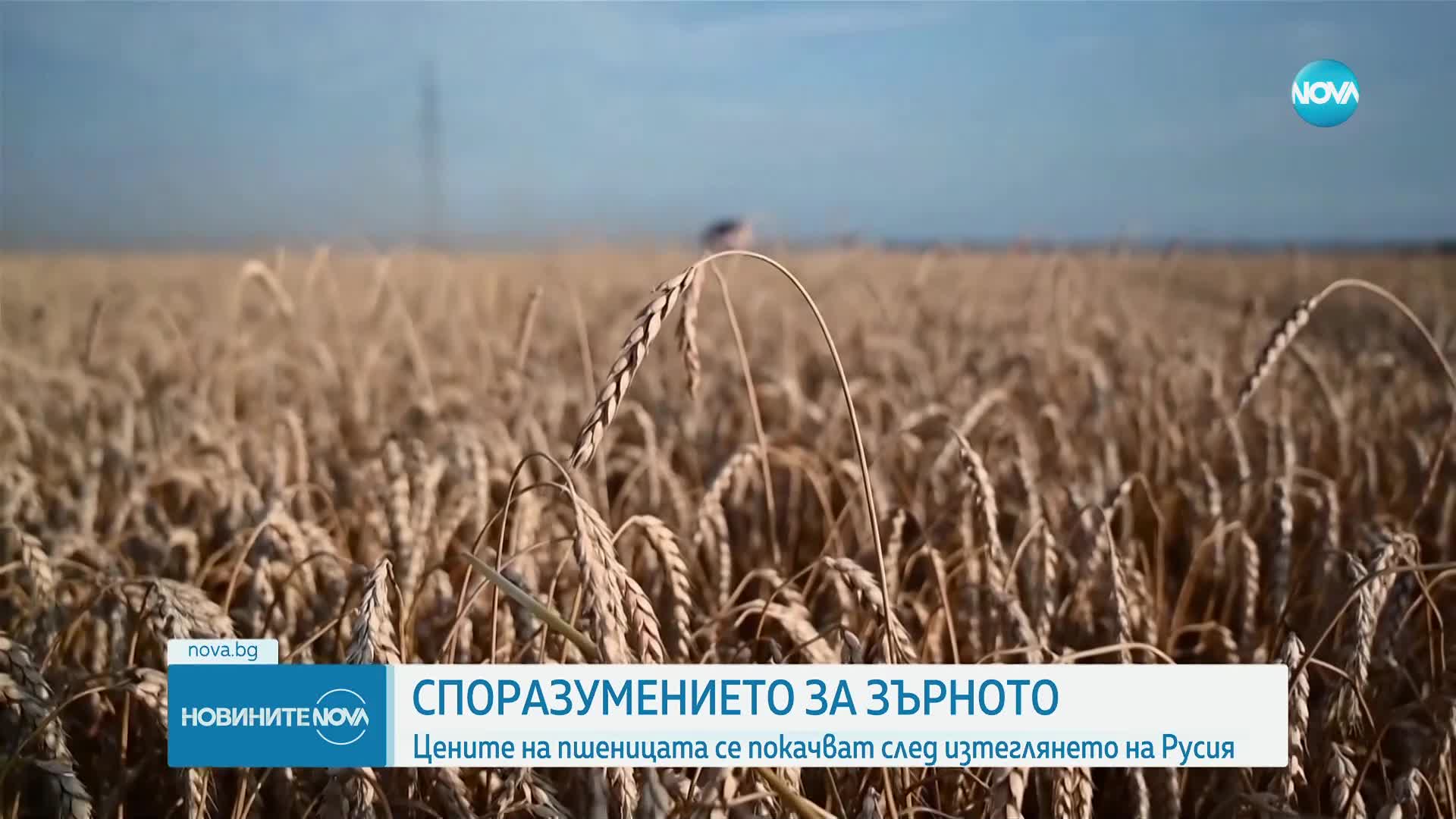 Пшеницата поскъпна след изтеглянето на Русия от сделката с Украйна