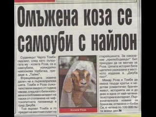 Брутално смешен клип :)