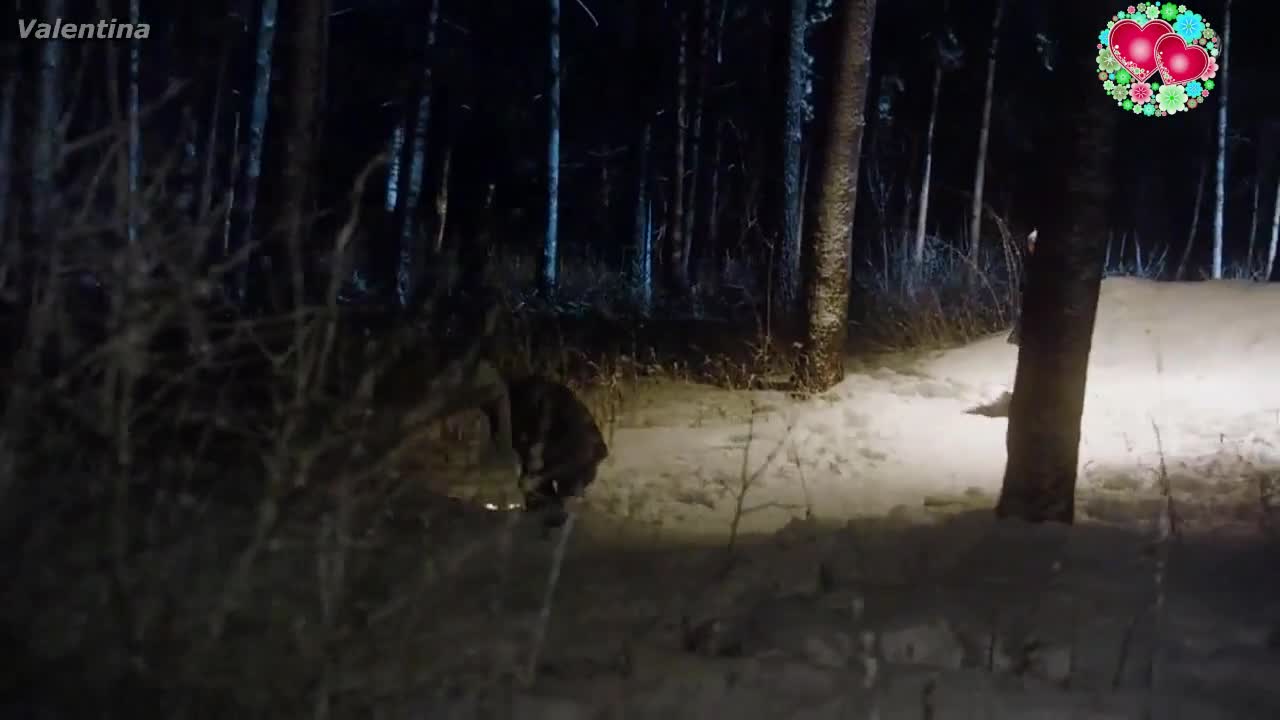 Скачать альбом курас валерий Скачать альбом курас валерий