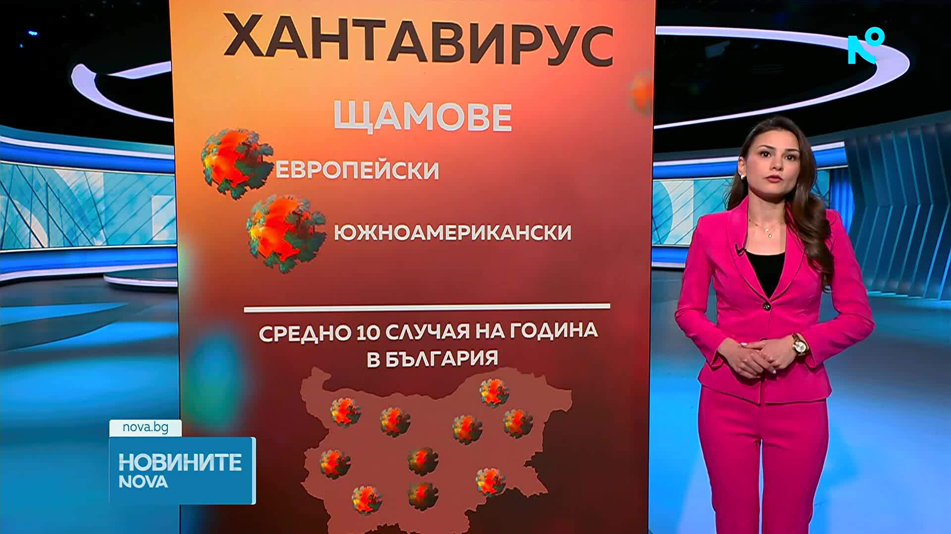 Хантавирус в Европа: Няма опасност от пандемия