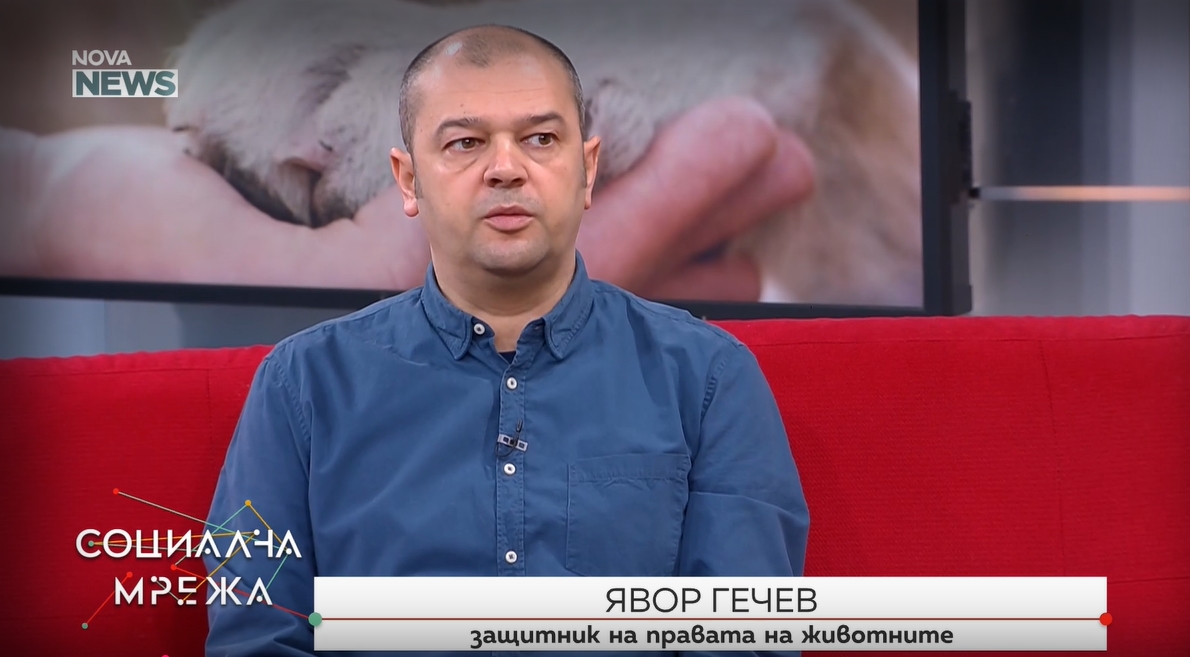 След поредния случая на жестокост: Може ли зверствата над животни да бъдат спрени