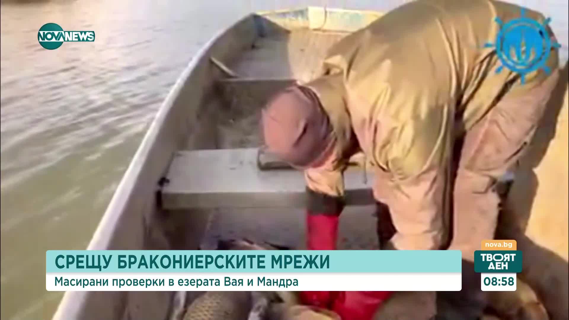 Инспектори спасиха пеликан, костенурки, сомове от бракониерски мрежи