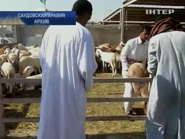 Удар: Саудистки фермер продаде козела си за 3,5 милиона долара