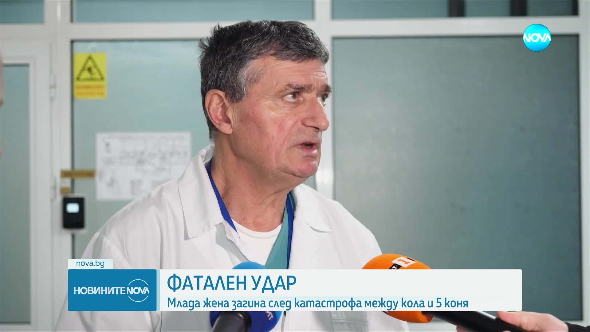 Тежка катастрофа между коне и кола в Кюстендилско
