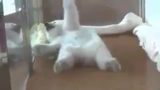 Като след празниците