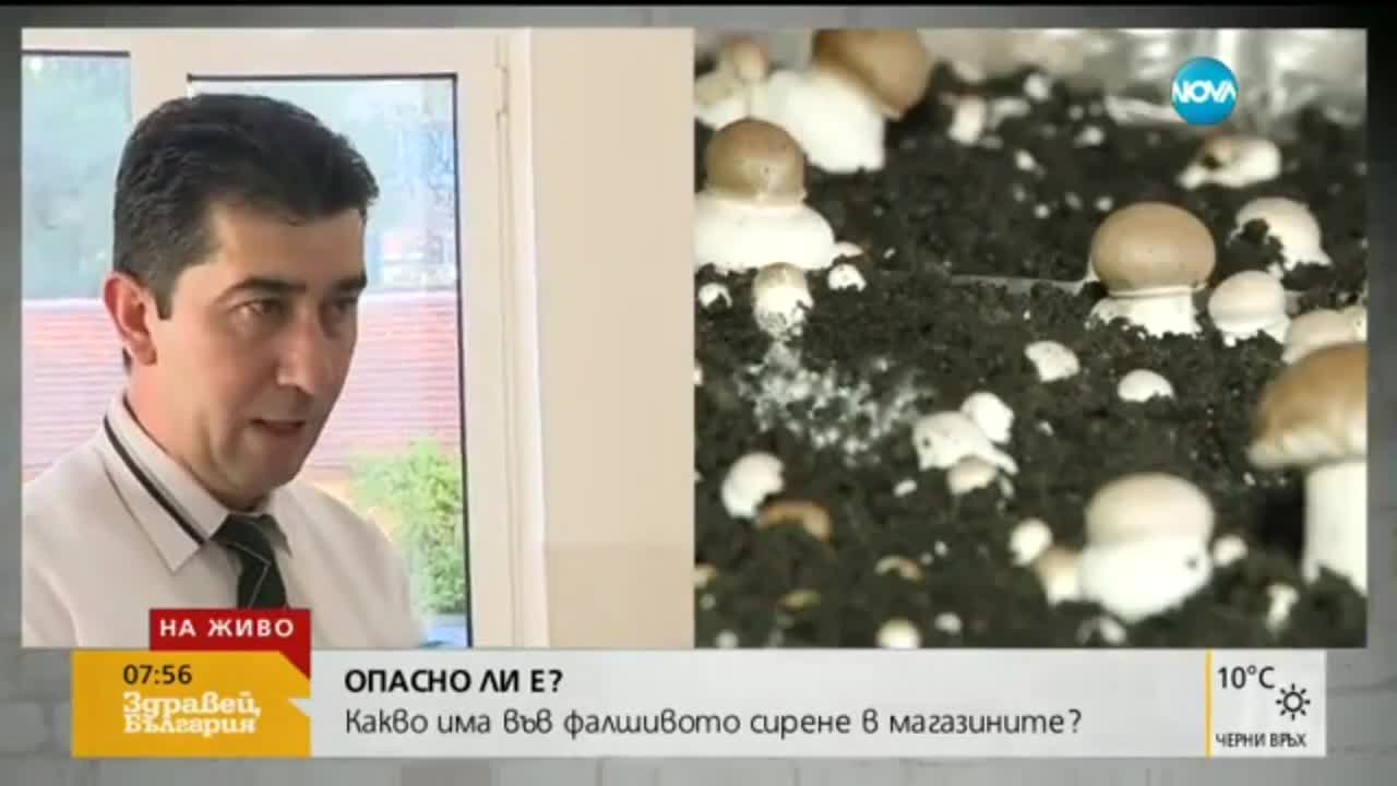 Гъби ли наровиха семейство в София?