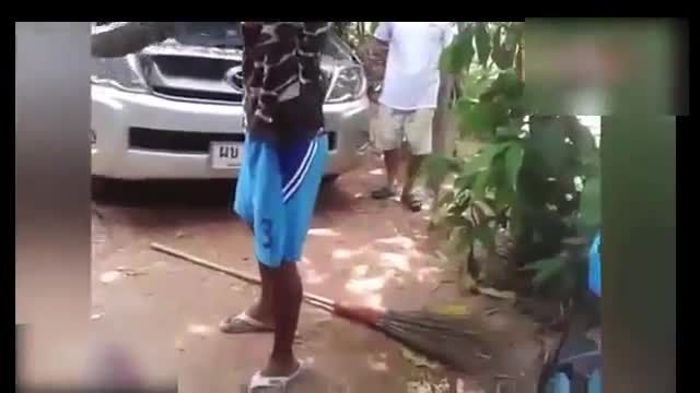 Мъже смело измъкват голяма змия от двигателя на кола !