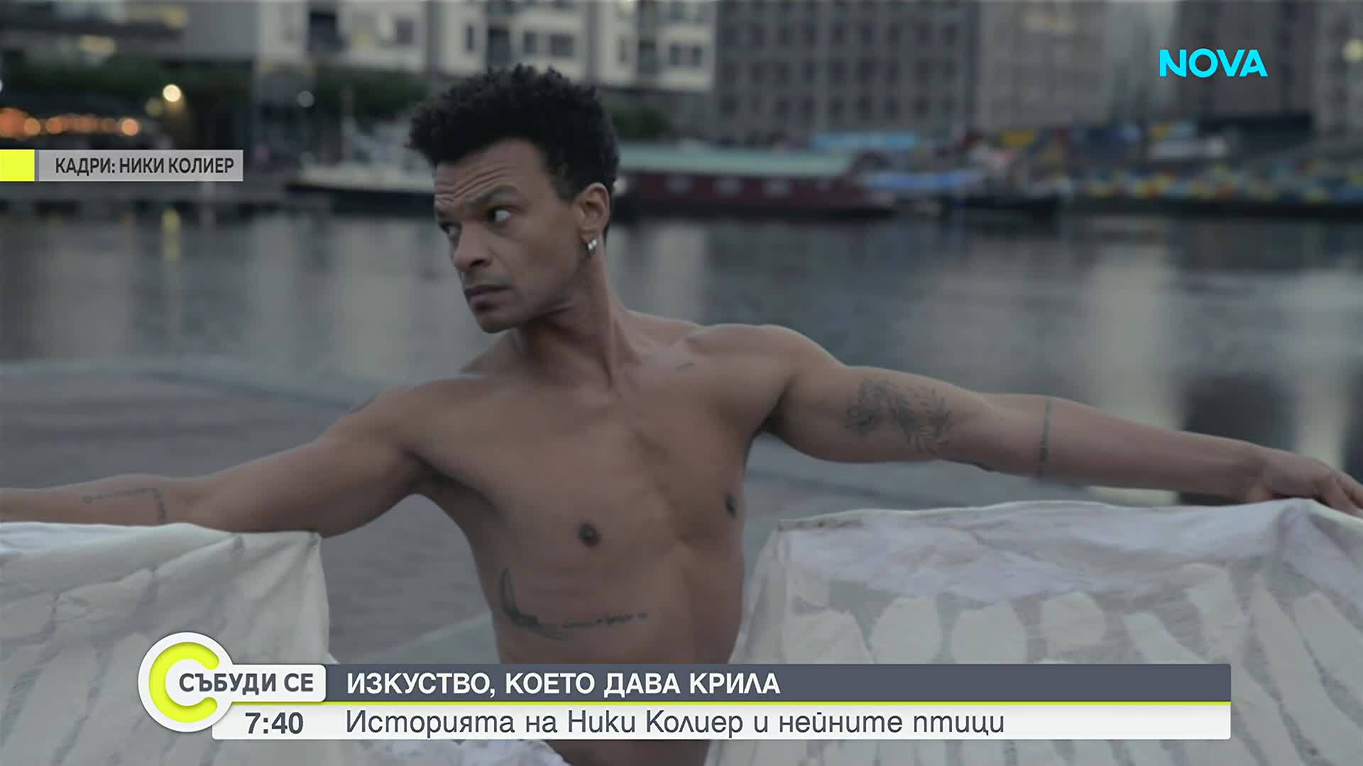 Изкуство, което дава крила: Историята на Ники Колиер и нейните птици