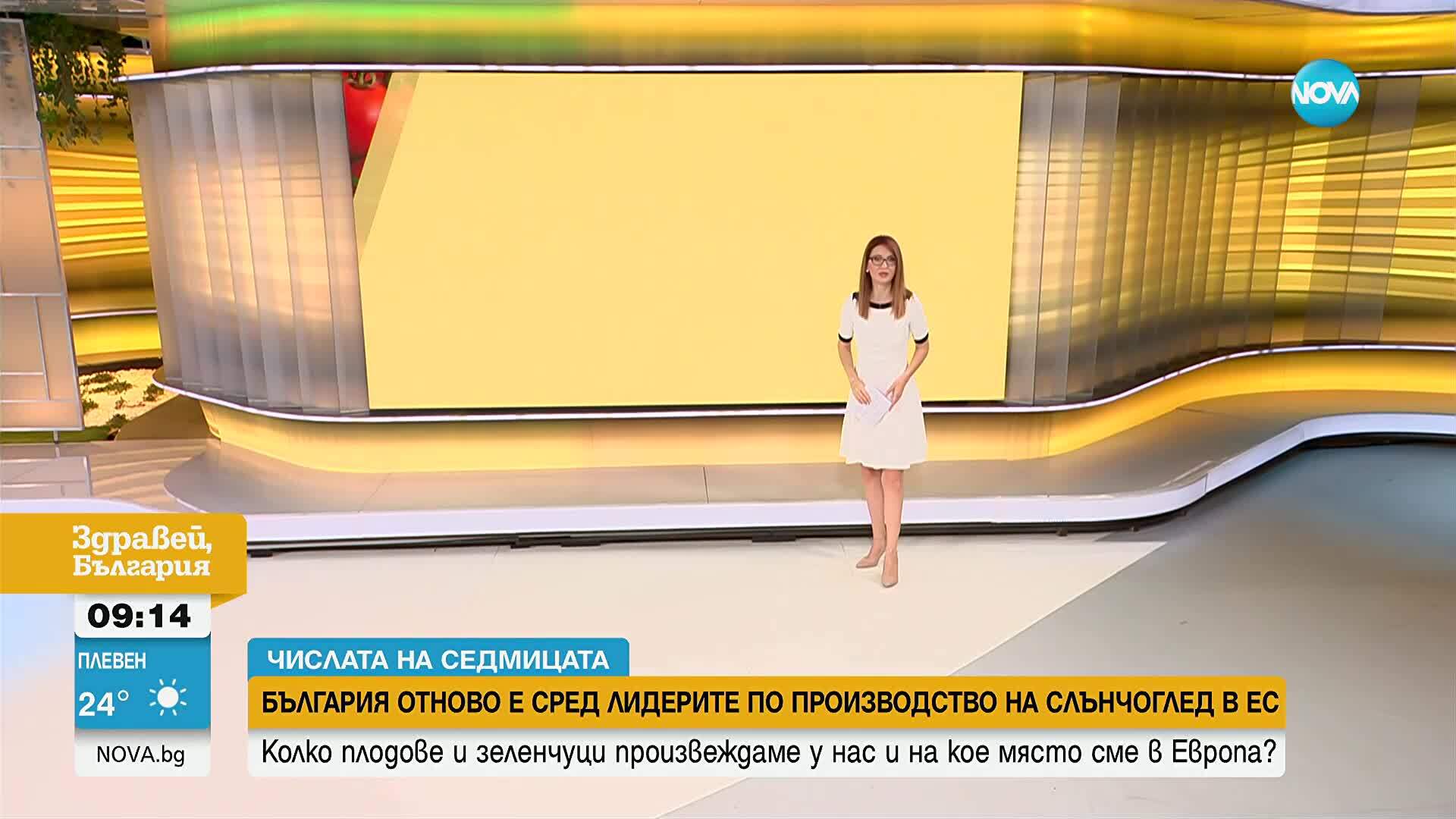 „Числата на седмицата”: Колко плодове и зеленчуци произвеждаме и на кое място сме в Европа?