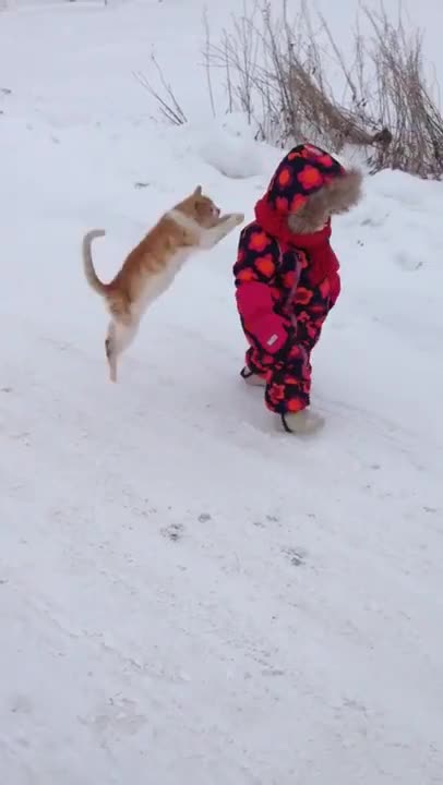 Коте прави Де-де-те на малко детенце :d:d:d