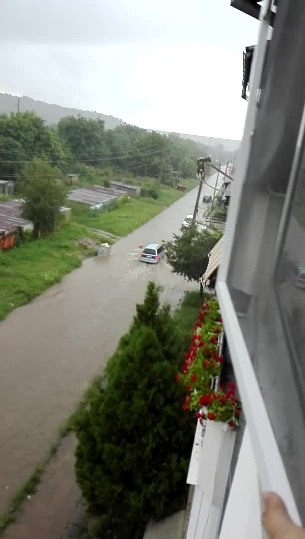 Порой в Монтана