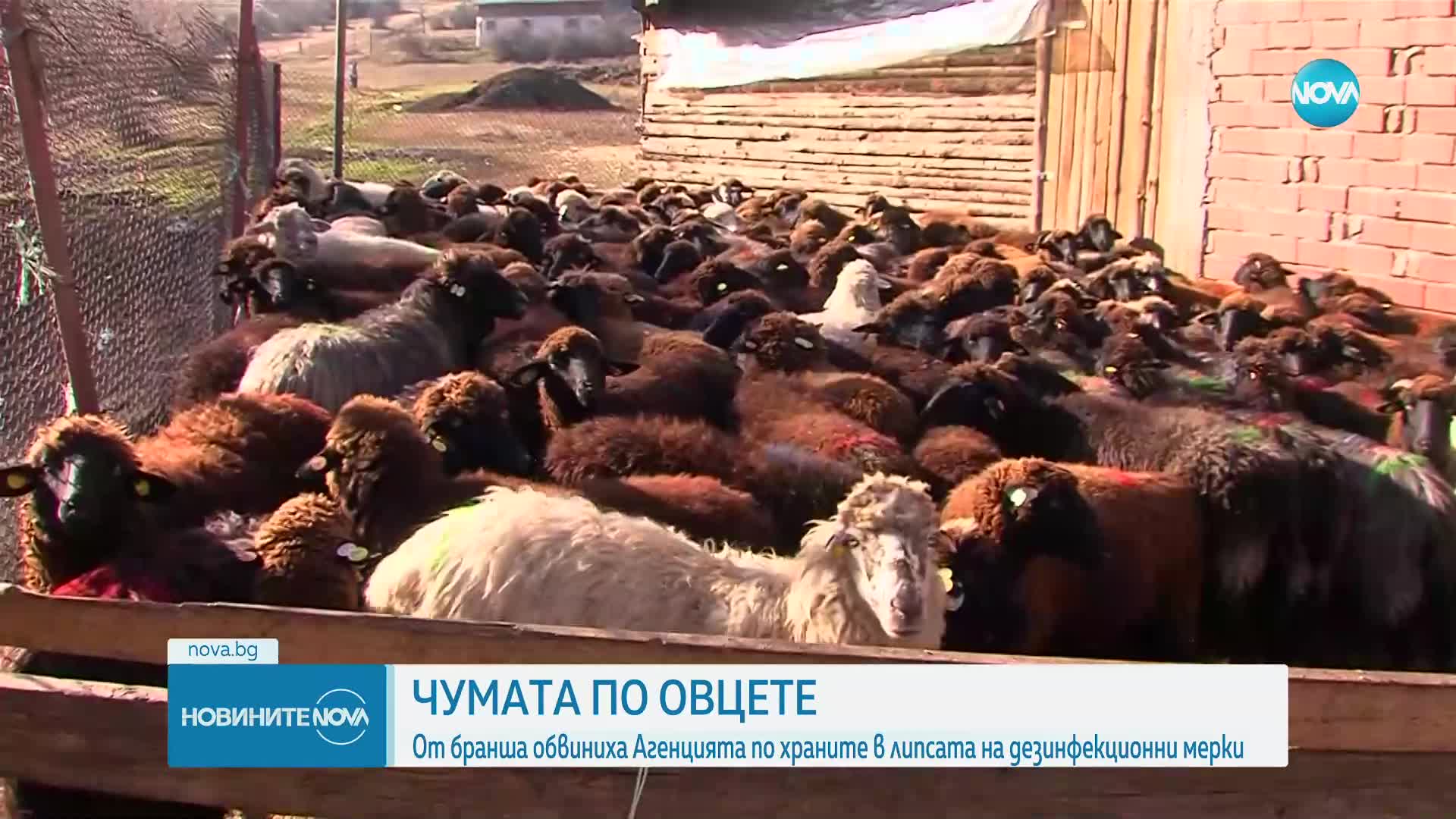Караколев: БАБХ не е предприела никакви дезинфекционни мерки във фермата във Велинград