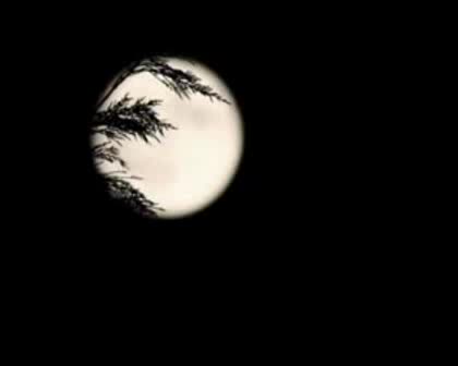 George Michael & Mutya Buena - This Is Not Real Love (Превод)