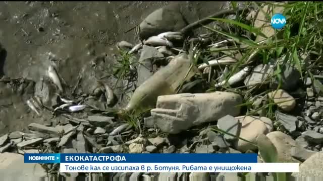 Екологична катастрофа в река Ботуня