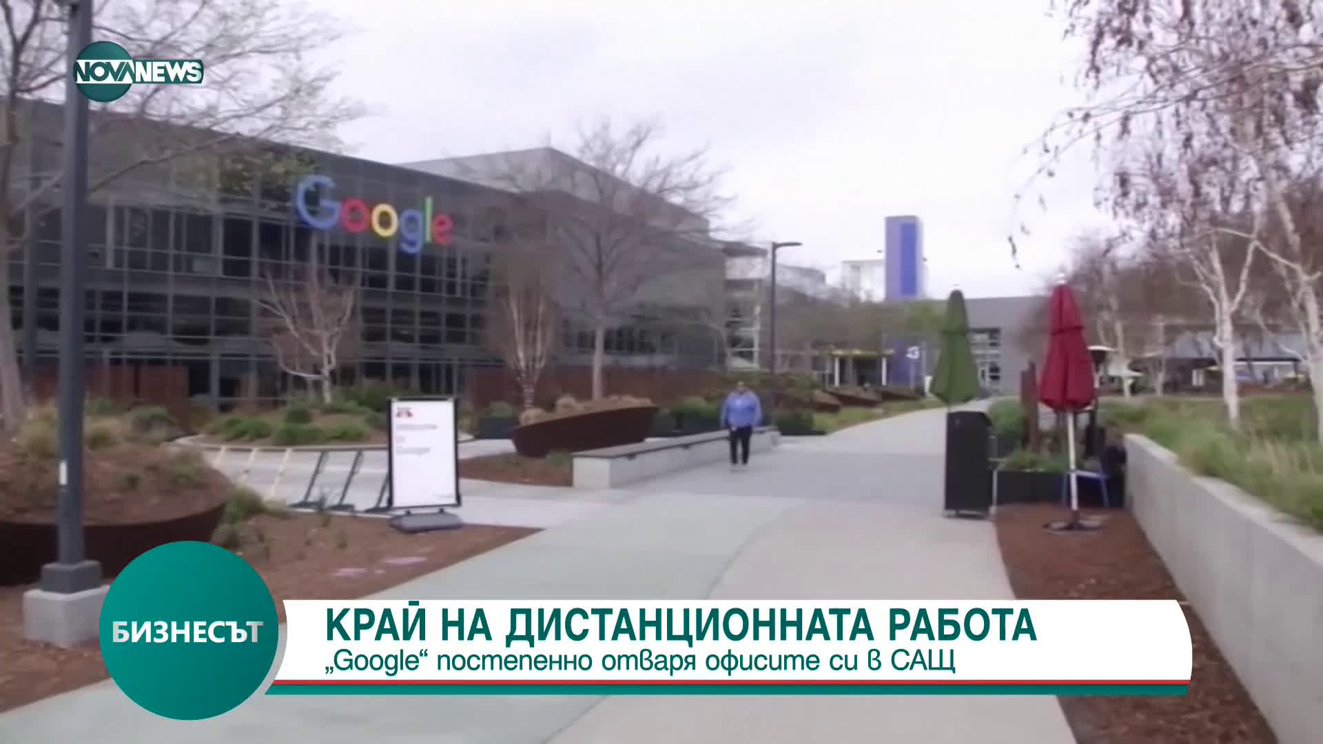 Google постепенно отваря офисите си в САЩ