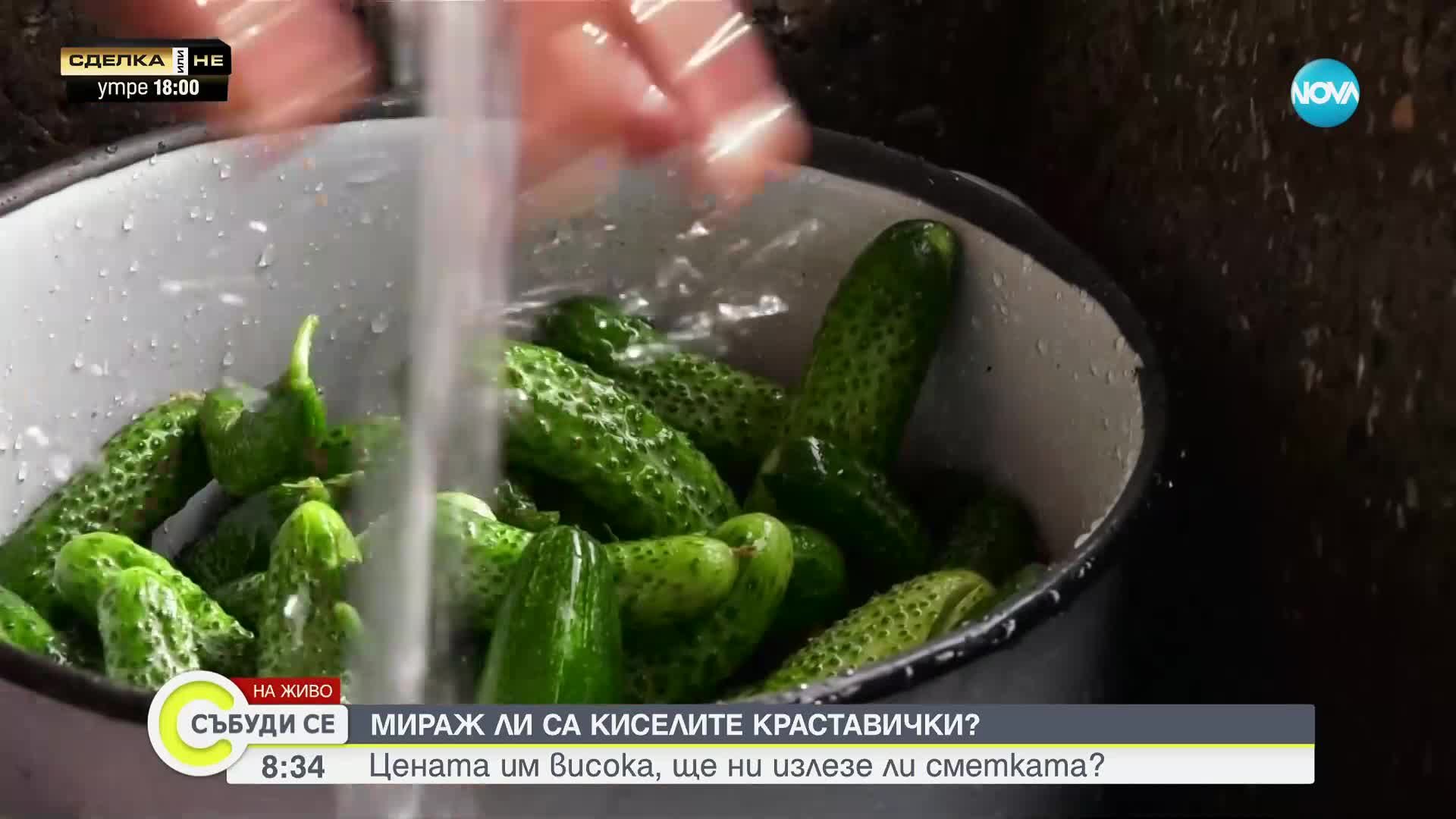 СЕВЕРОЗАПАДЪТ И КИСЕЛИТЕ КРАСТАВИЧКИ: Излиза ли по-евтино домашната зимнина
