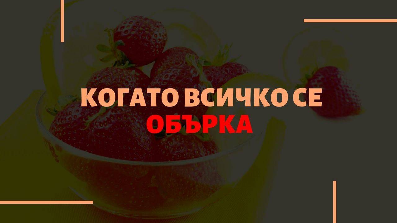 Когато всичко се обърка