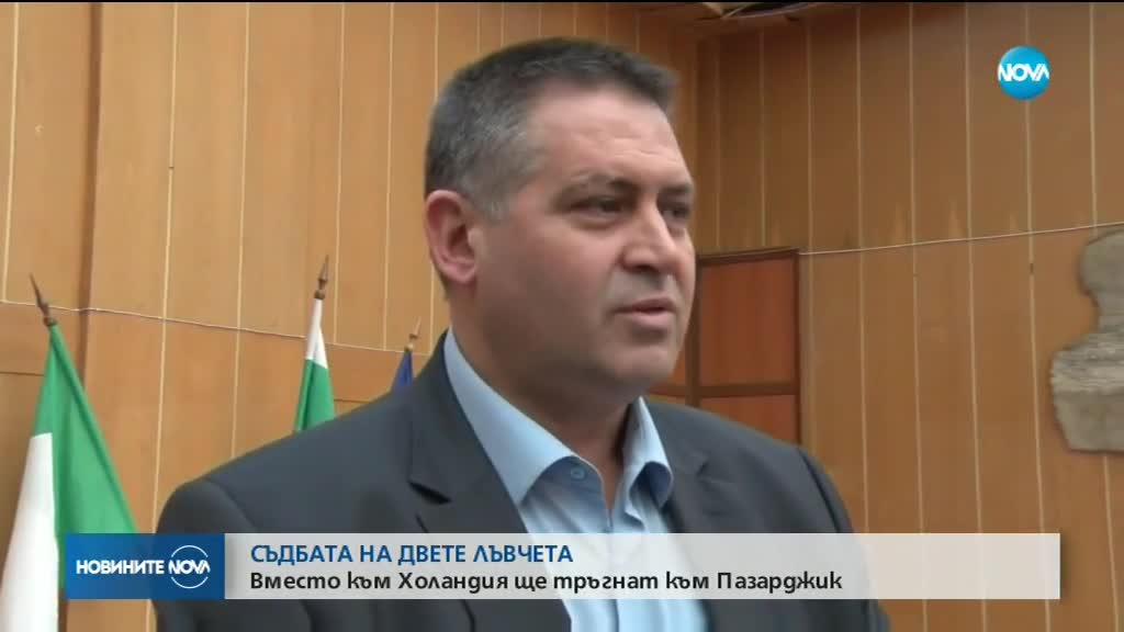 СЪДБАТА НА ДВЕТЕ ЛЪВЧЕТА: Вместо към Холандия, ще тръгнат към Пазарджик