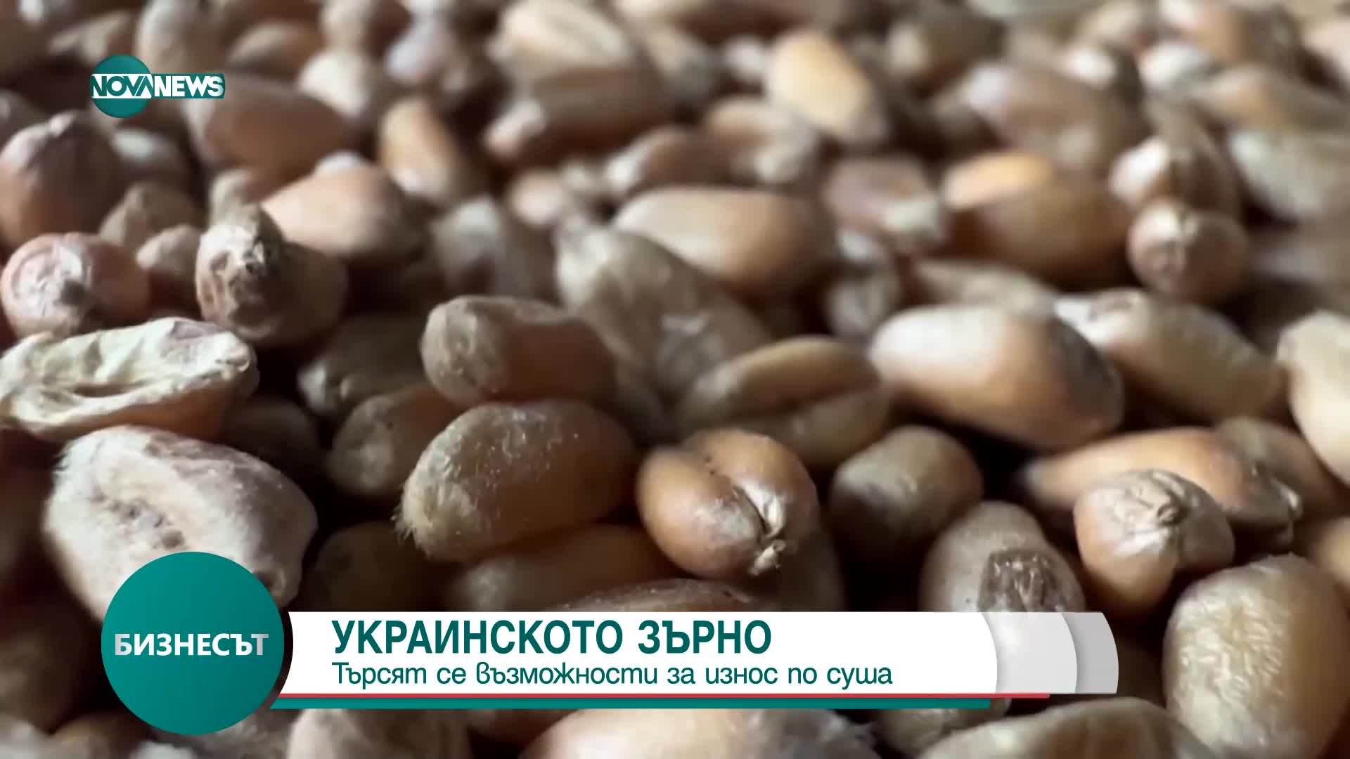 Украинското зърно: ЕС търси възможности за износ по суша