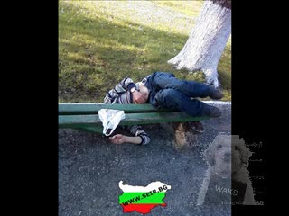 Това може да се види само в България 