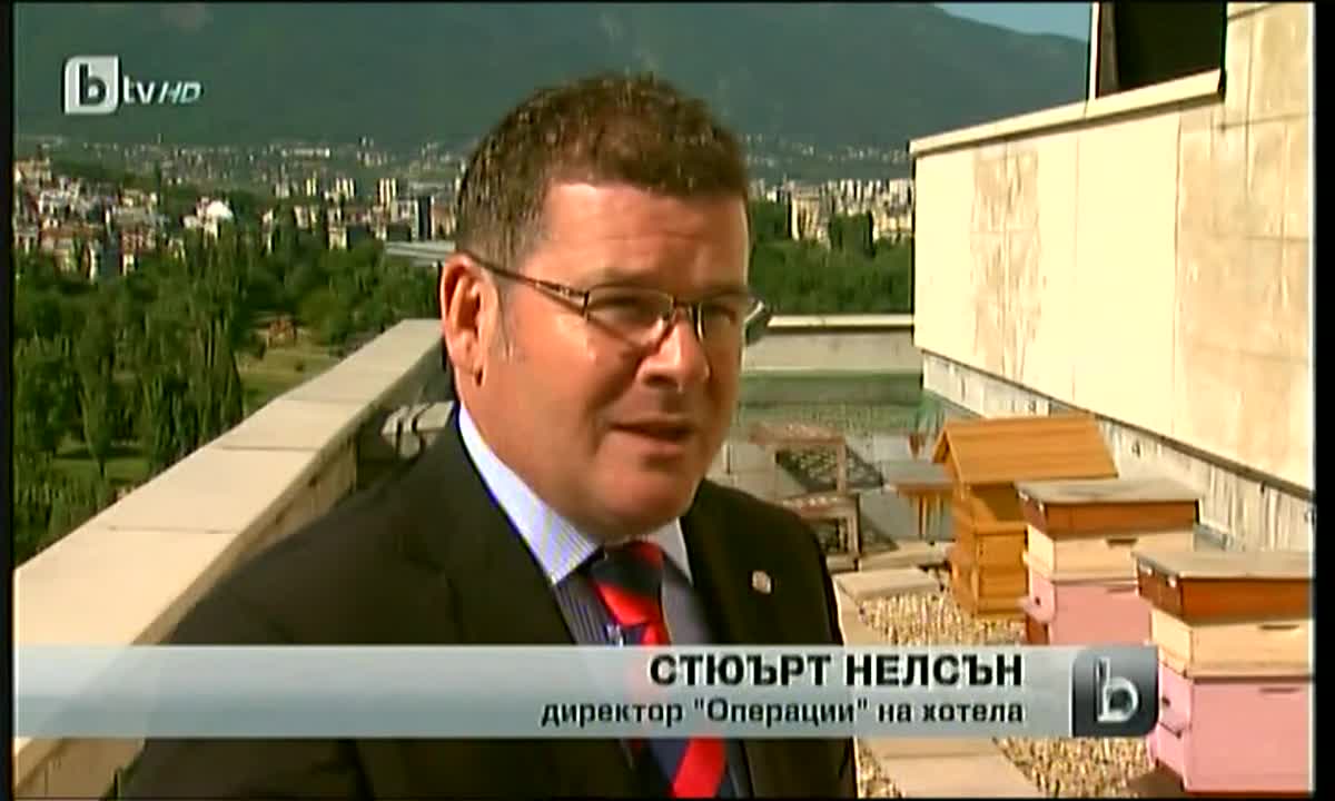 Пчели върху Хотела